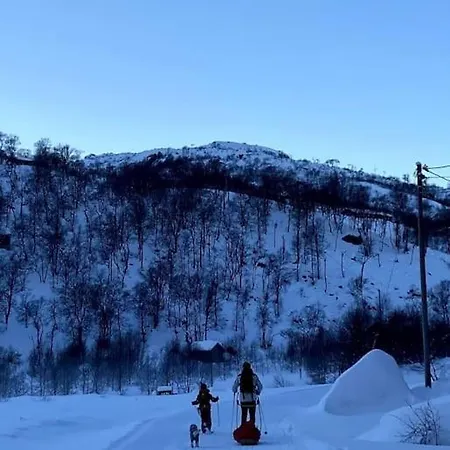 Stavtjorn Alpine Haven Feriehus Vikeså