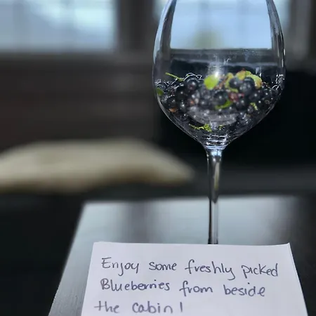 Stavtjorn Alpine Haven *