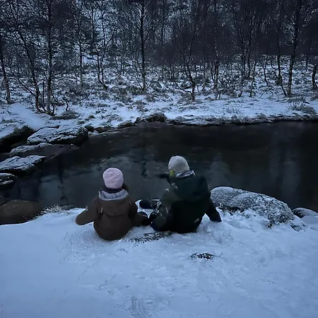 Stavtjorn Alpine Haven