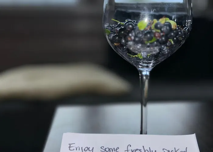 Stavtjorn Alpine Haven *